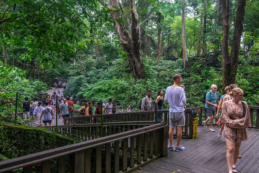 Monkey Forest Ubud