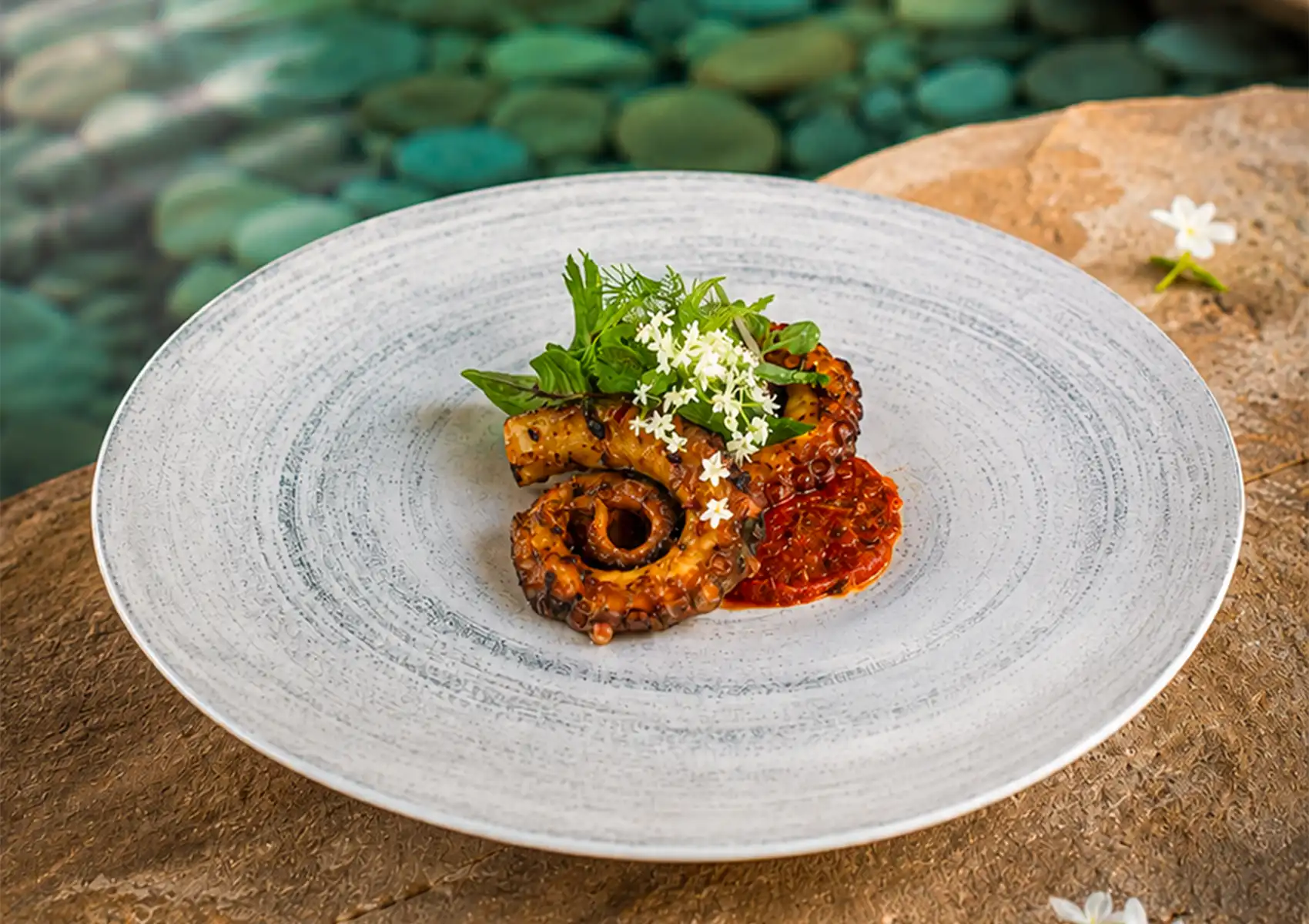 A beautifully plated gluten-free appetizer featuring a curled grilled octopus tentacle resting on a rich red sauce, elegantly garnished with fresh greens and delicate white flowers at a Restaurant in ubud.
